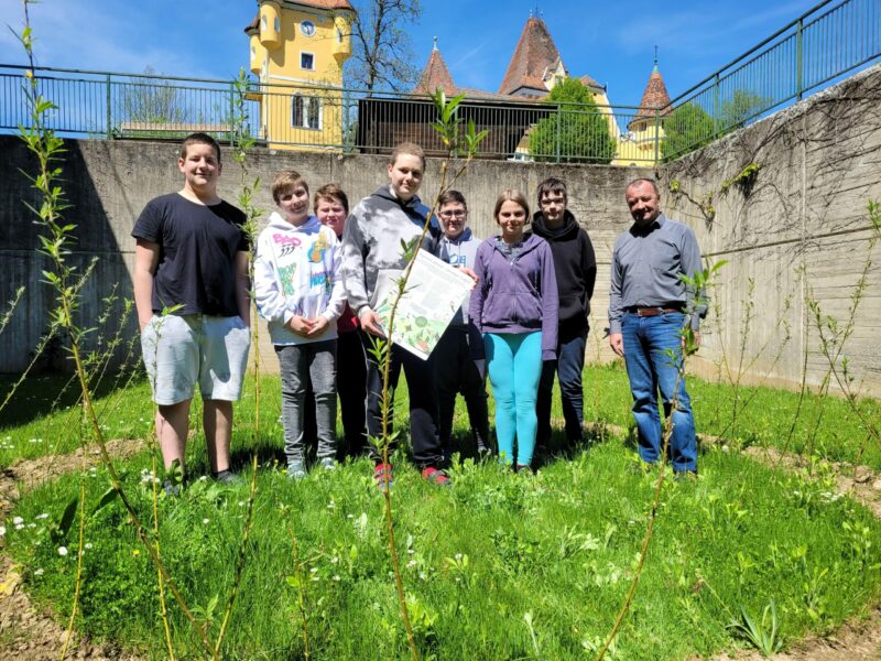 Klimafitte Schulen – regionale Weiden