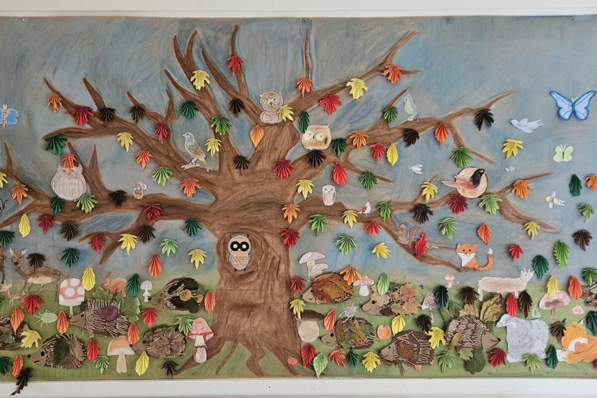 Der Herbst ist eingezogen