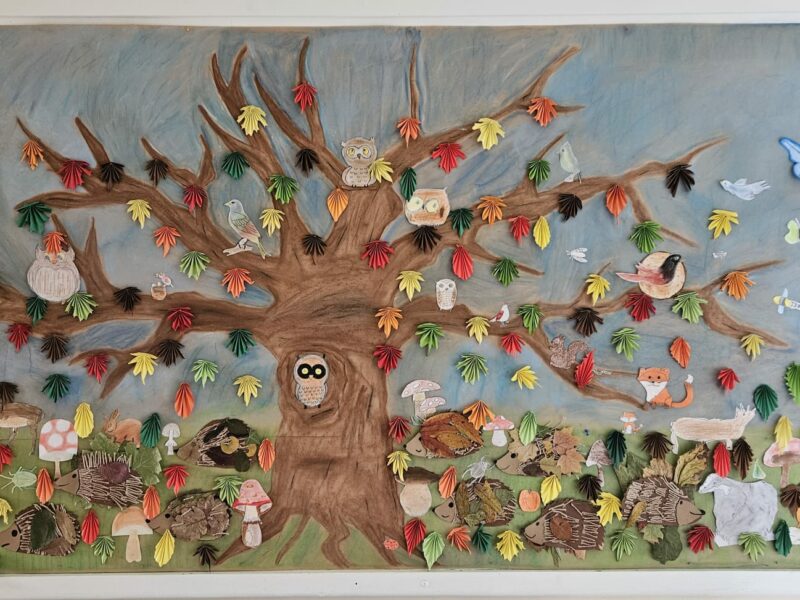 Der Herbst ist eingezogen