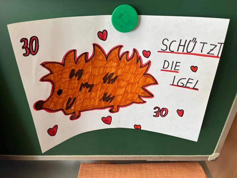Igel-Projekt